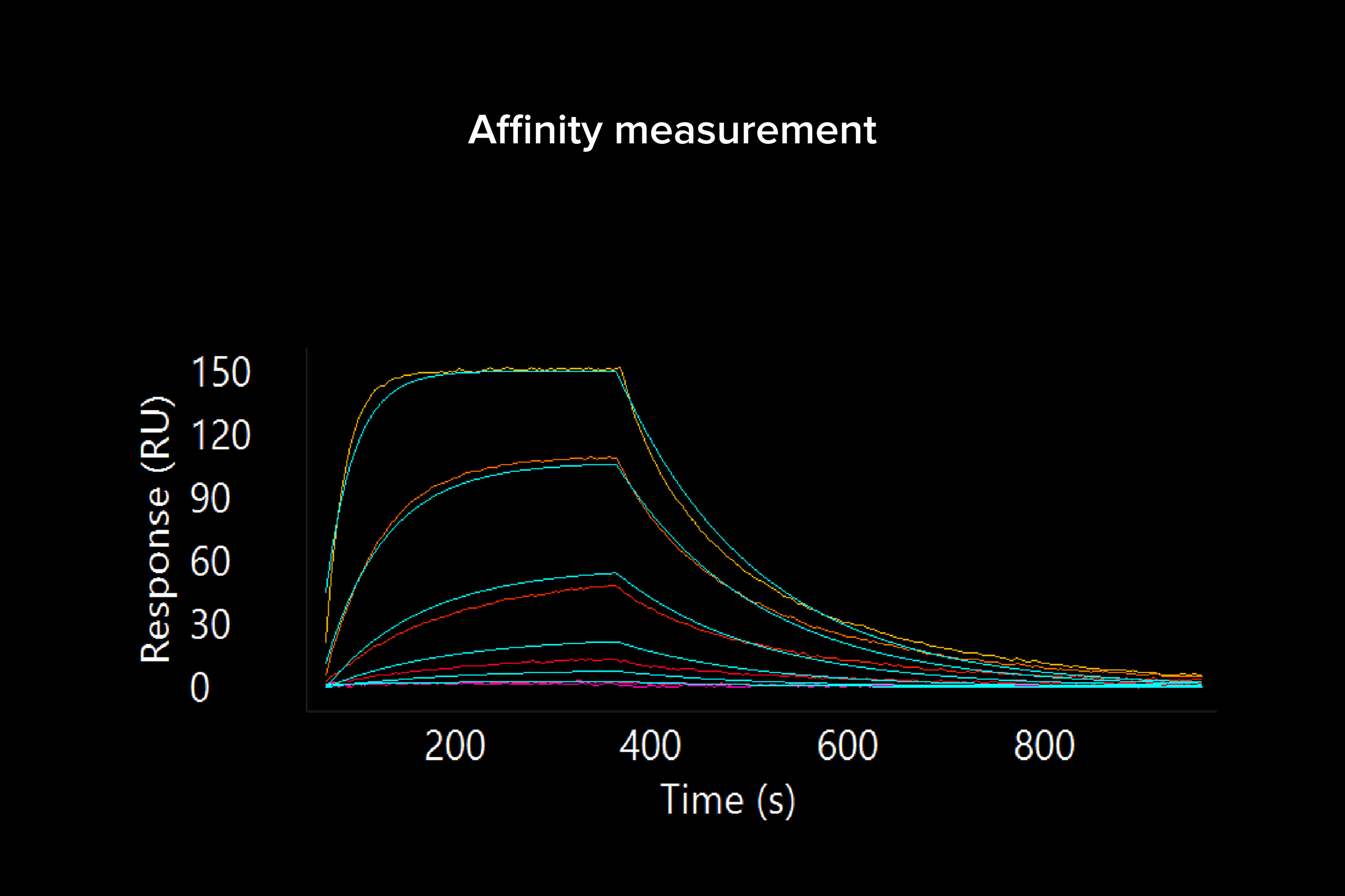 Binding kinetics: affinity ranking (SPR) - “Pinpoint
your top-tier candidates with affinity data and sensorgrams that visualize association and dissociation kinetics, allowing you to instantly rank binders by their KD performance.