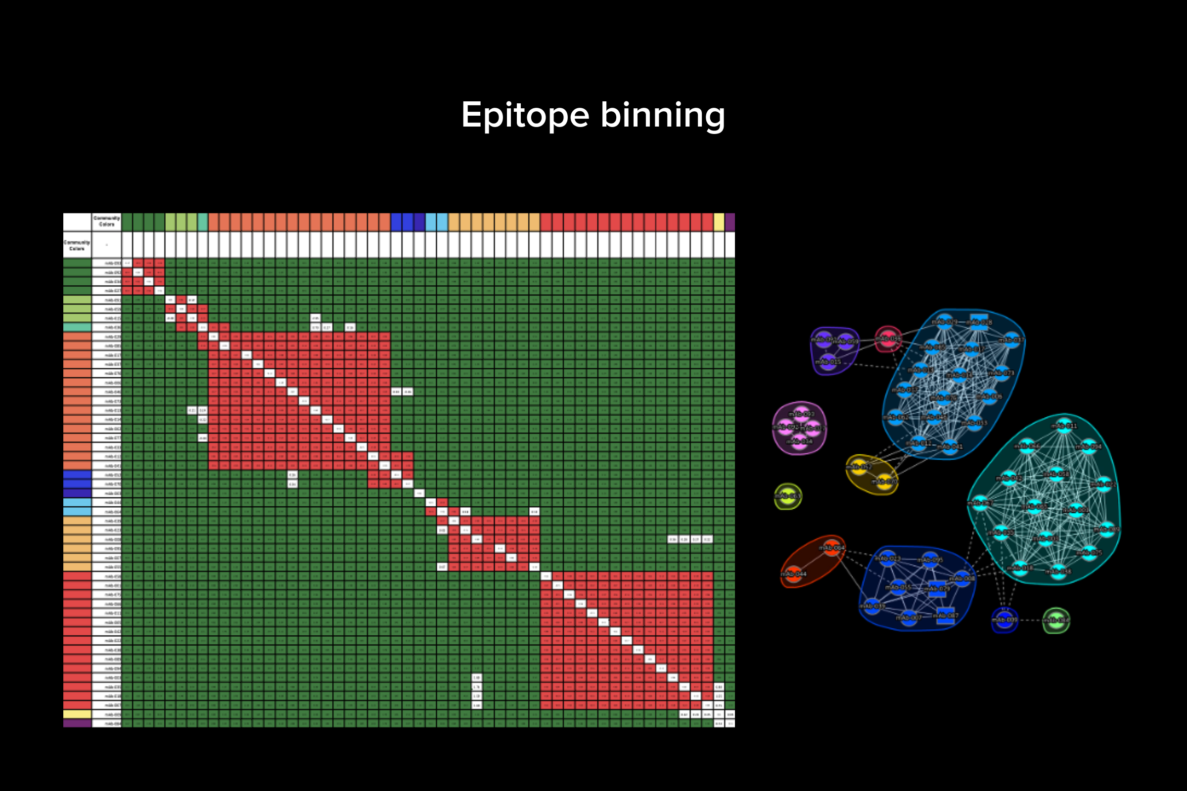 Biophysical characterization: epitope binning (SPR) - Map competitive binding relationships to identify epitope diversity and guide lead selection.