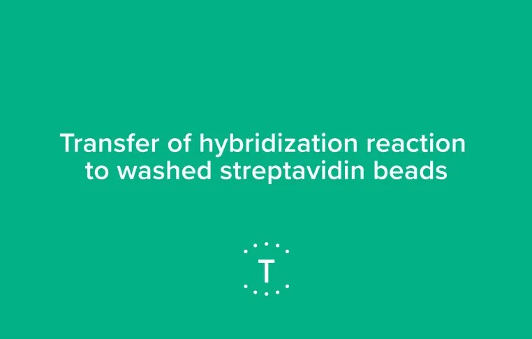 Troubleshooting with Twist: (StdHybv2) Transfer of the hyb rxn to washed streptavidin beads