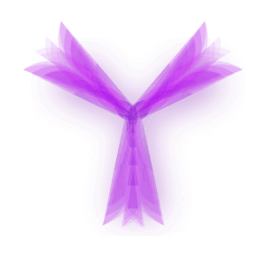 Antibody Discovery Services