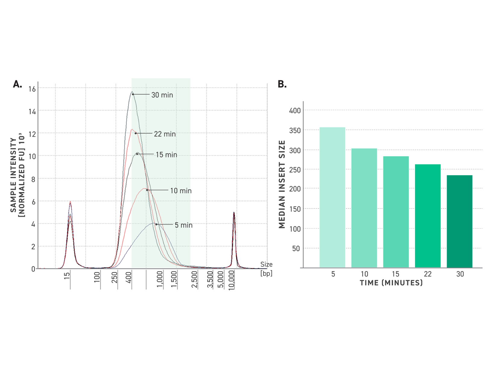Tunable DNA fragment size and insert length control in NGS library preparation using adjustable enzymatic fragmentation timing