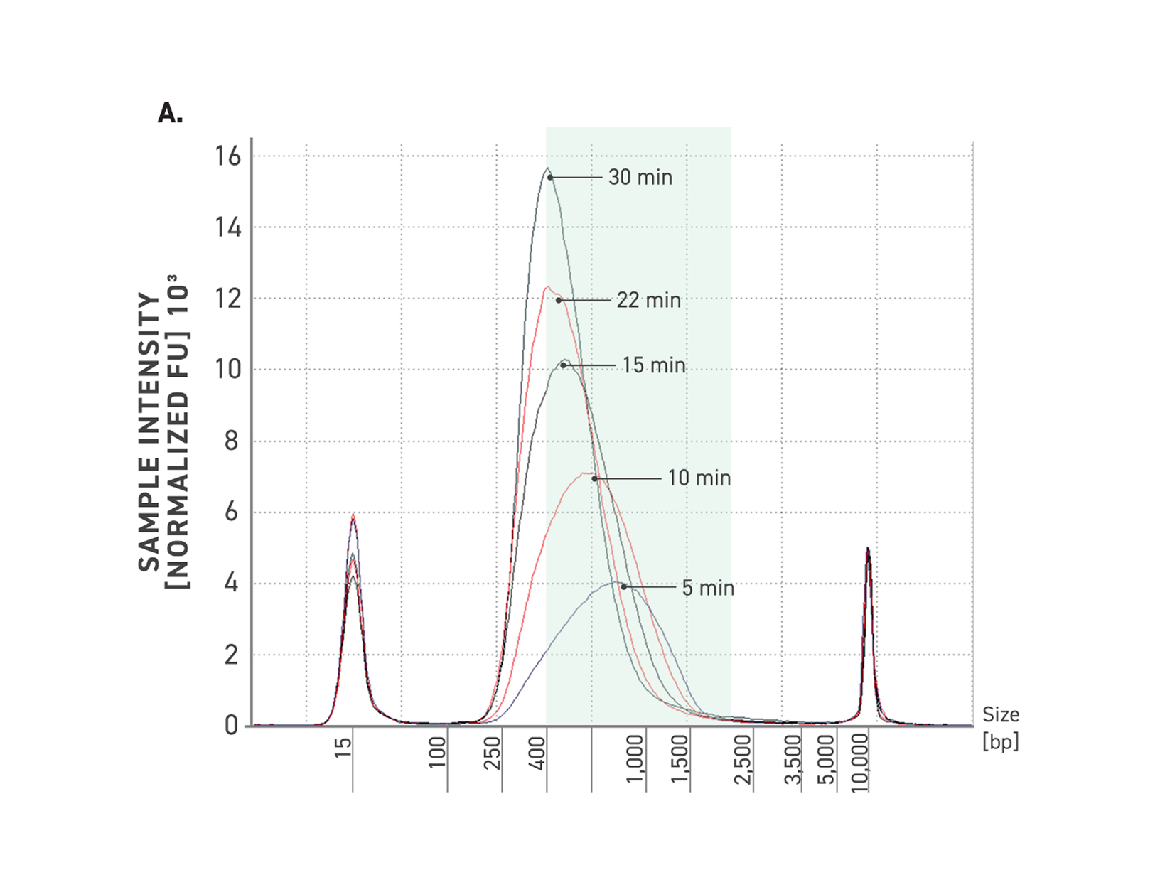 Tunable DNA fragmentation in PCR-free WGS library preparation showing electropherograms across different enzymatic fragmentation times