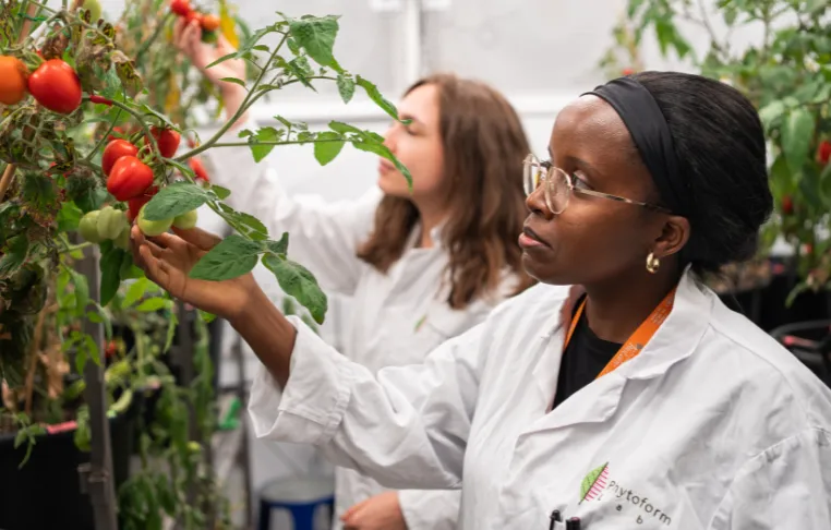 A CRE.AI.TIVE application of AI: Engineering a more resilient global food supply