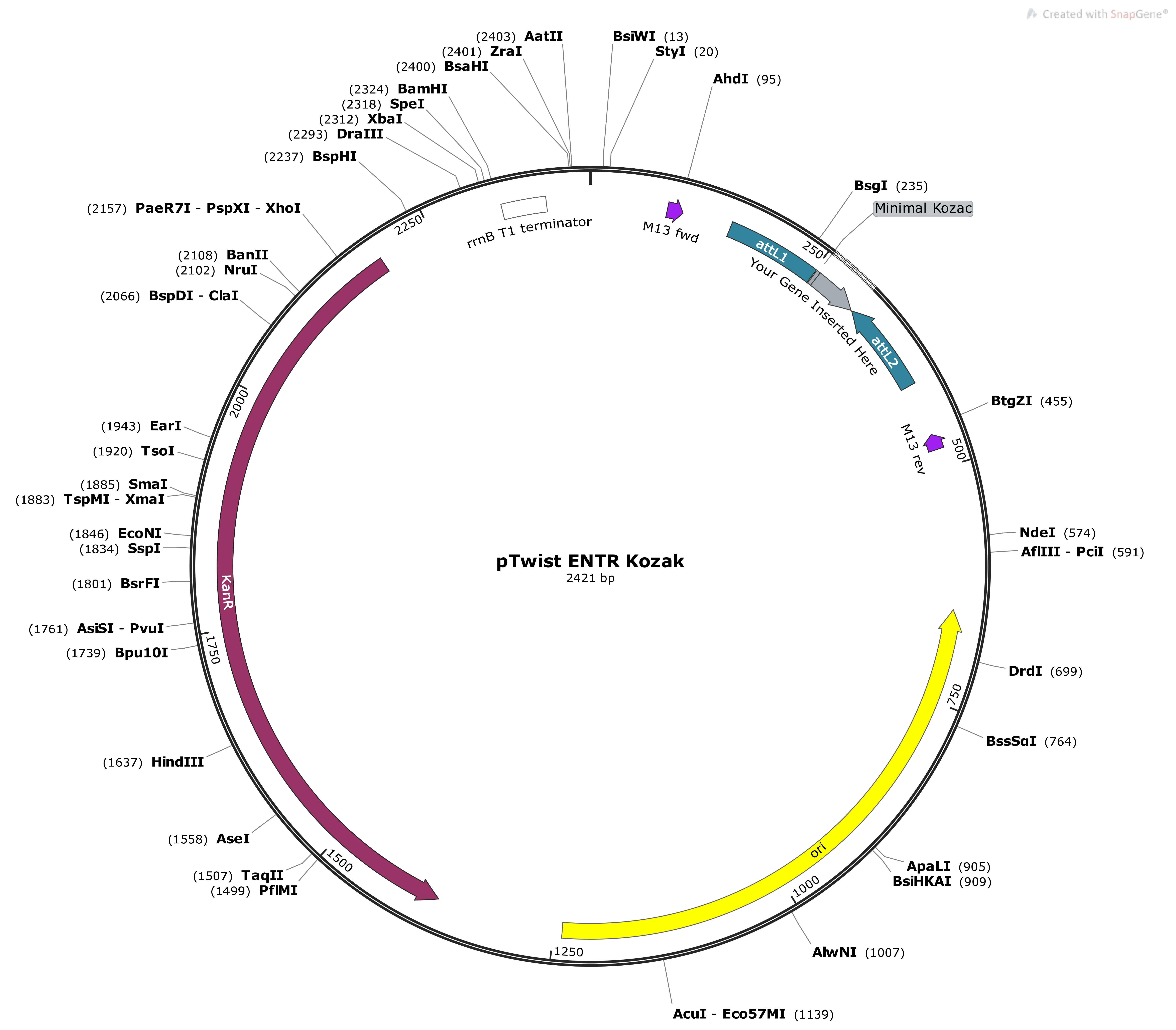 Vector Image