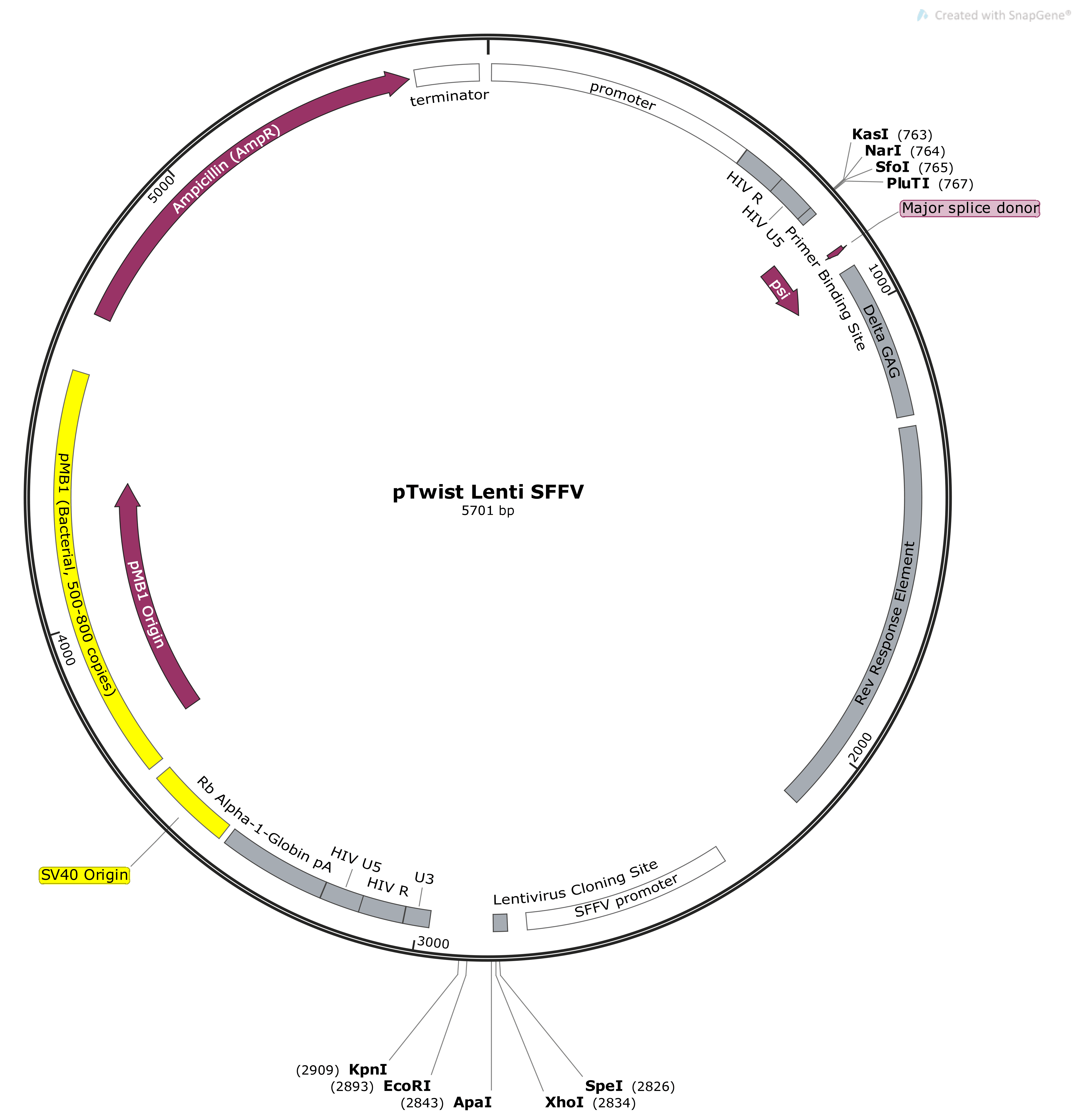 Vector Image